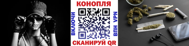 купить закладку  Ессентуки  Канабис сатива 